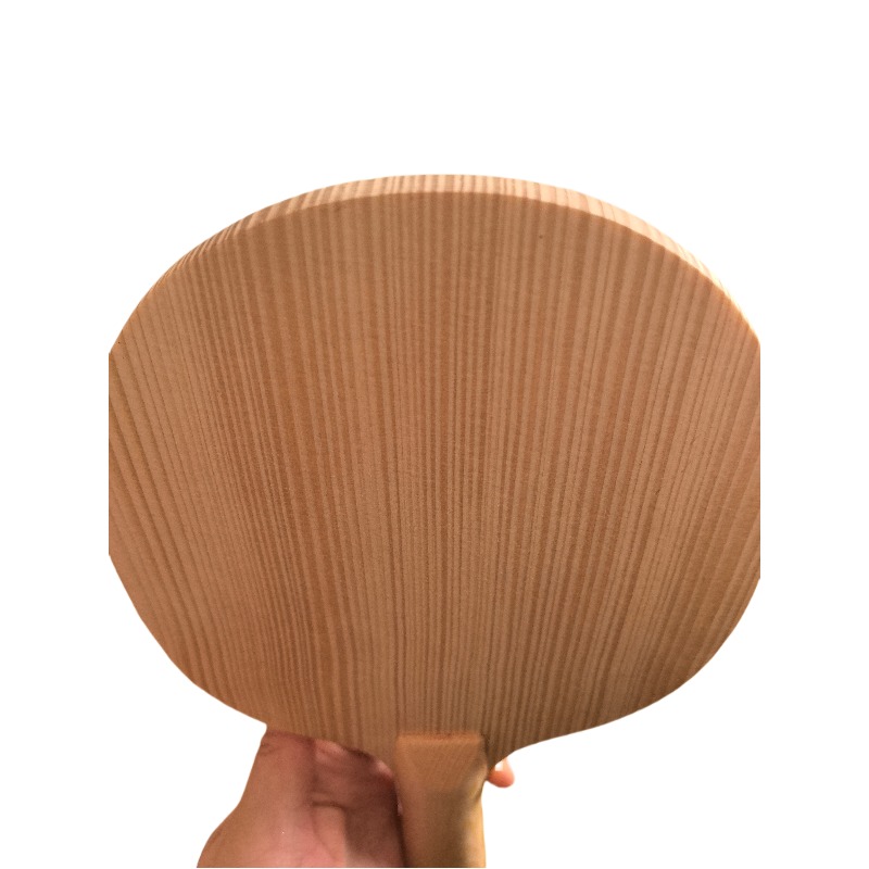 Профессиональное однопластиков – обзор и цена Table Tennis Paddle